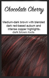 Envy Wigs - Danielle