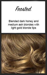 Envy Wigs - Danielle