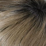 02-4 - Root 04/12 - Dark Brown Root, the rest is Light Golden Brown